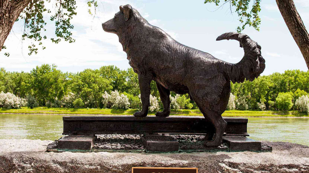 custom made bronze dog statue for sale