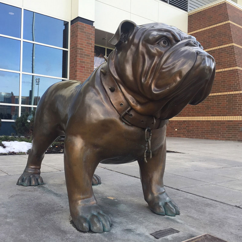 Outdoor new design large size casting bronze bulldog statue for sale