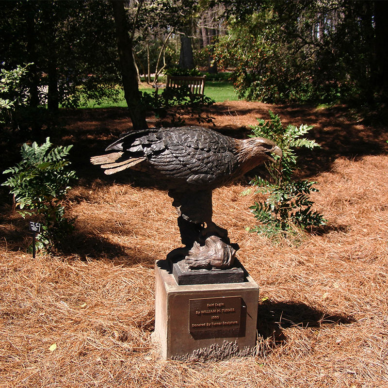 Classic design outdoor decorative metal craft perched hawk bronze eagle sculpture DZB-300