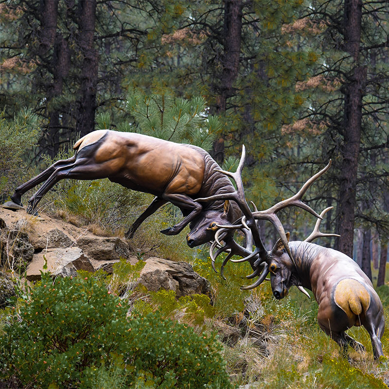 Home gaden decoration custom size bronze battling bull elk sculpture for sale DZB-294